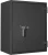 Сейф Format Paper Star Pro 2 CL (PS PRO 2Т CL) Сейф Format Paper Star Pro 2 CL (PS PRO 2Т CL)